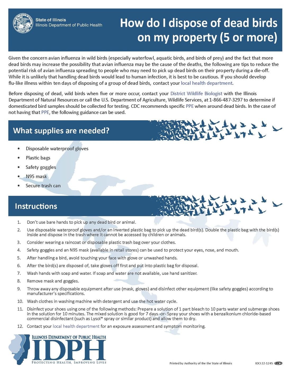 bird-disposal-more-5-2025